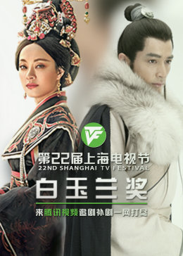 南山seo优化哪家便宜