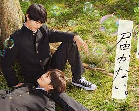 前端seo什么意思